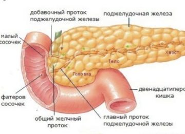 Лечение при диффузных изменениях паренхимы поджелудочной железы